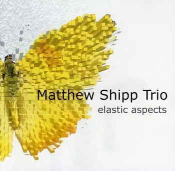 Matthew Shipp Trio: Elastic Aspects