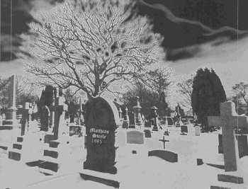 CD Matthias Steele: Resurrection