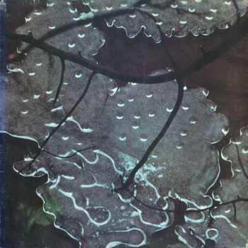 Album Maurizio Bianchi: Armaghedon