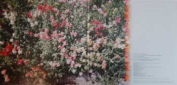 LP Mav Karlo: Strangers Like Us