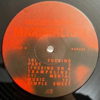 2LP Maxim Mental: Make Team Presents Maxim Mental In Maximalism