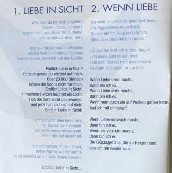 CD Maxi Arland: Liebe In Sicht
