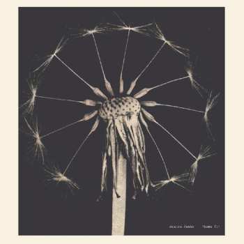 Album Maxine Funke: Home Fi