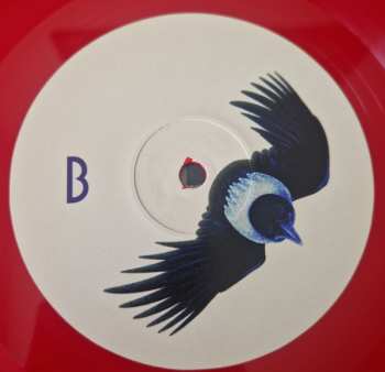 LP Mdou Moctar: Funeral For Justice LTD