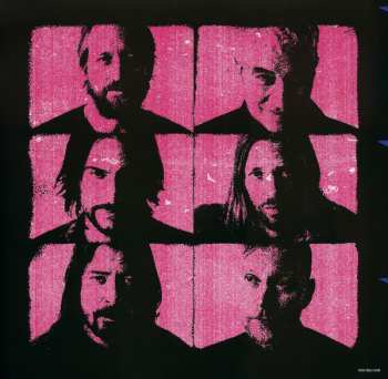 LP Foo Fighters: Medicine At Midnight