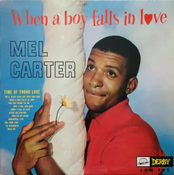 When A Boy Falls In Love