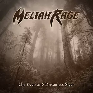 The Deep And Dreamless Sleep