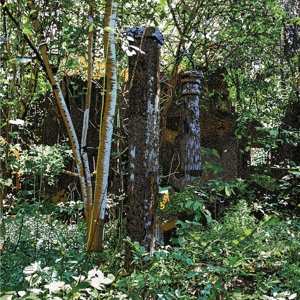 CD Merope: Salos