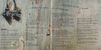 CD Mesh: A Perfect Solution LTD