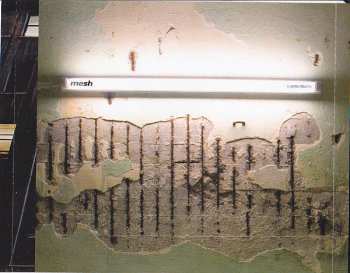 CD Mesh: A Perfect Solution LTD