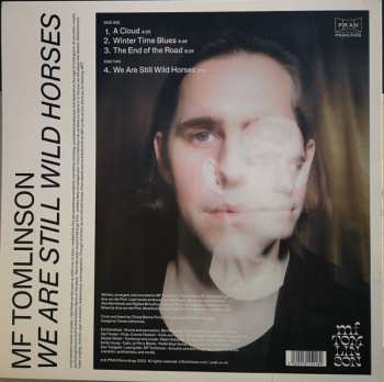 LP MF Tomlinson: We Are Still Wild Horses
