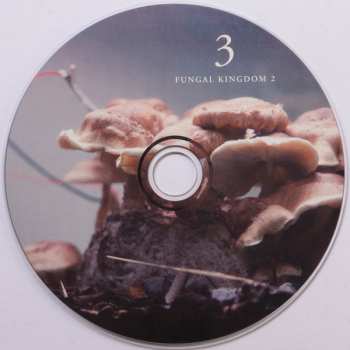 3CD/Box Set Michael Prime: Bioelectrical Music
