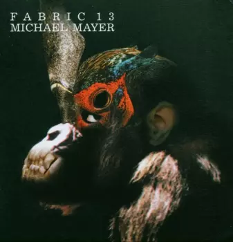 Michael Mayer: Fabric 13