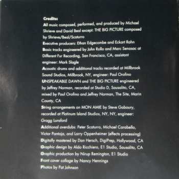 CD Michael Shrieve: The Big Picture