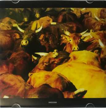 CD Midnight Oil: Capricornia