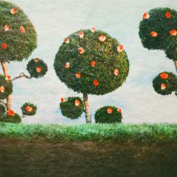 LP Midnight Sister: Painting The Roses