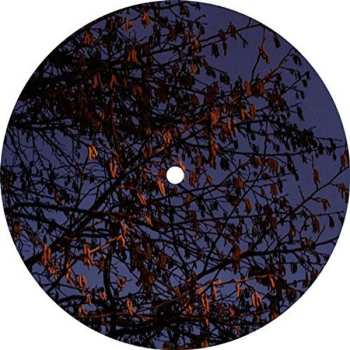 Album Mikkel Metal: Quest #14 EP