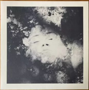 Milanku: À l’aube