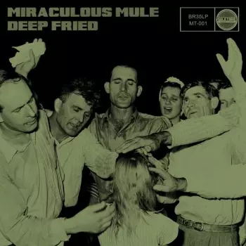 Miraculous Mule: Deep Fried