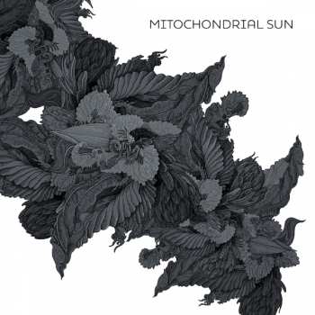 LP Mitochondrial Sun: Mitochondrial Sun CLR