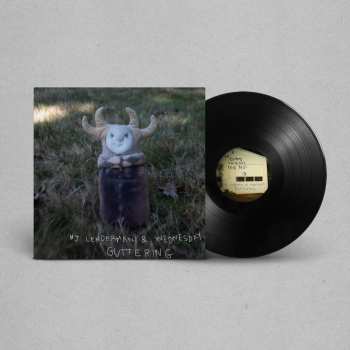 Album MJ Lenderman: Guttering