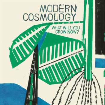 CD Modern Cosmology: What Will You Grow Now?