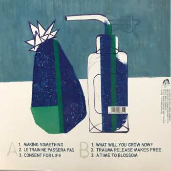 LP Modern Cosmology: What Will You Grow Now?