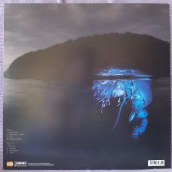 LP Moonloop: Devocean LTD | CLR