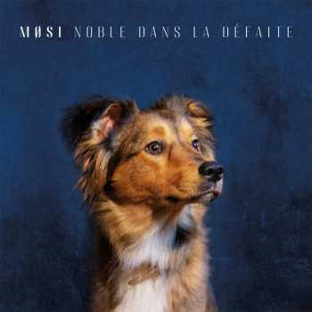 LP Møsi: Noble Dans la Défaite