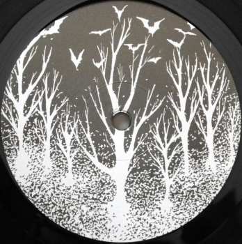 LP/CD Motorowl: Om Generator