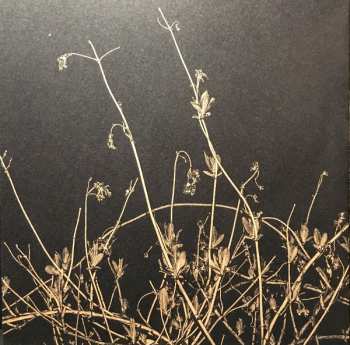 CD/DVD/2EP Motorpsycho: Begynnelser (Music From An Imagined Play) LTD