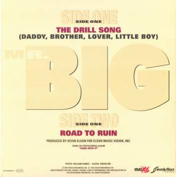 5SP Mr. Big: Lean Into It - The Singles PIC | LTD | CLR