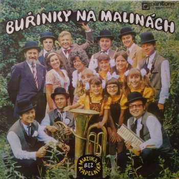 Album Muzika Bez Kapelníka: Buřinky Na Malinách