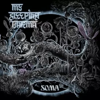 My Sleeping Karma: Soma