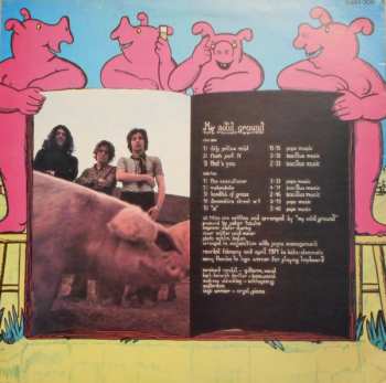 LP My Solid Ground: My Solid Ground