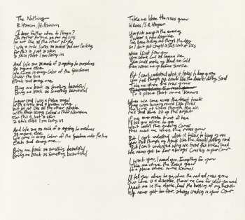 CD Mystery Jets: Radlands