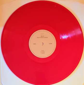 2LP Nanna Bryndís Hilmarsdóttir: How to Start a Garden