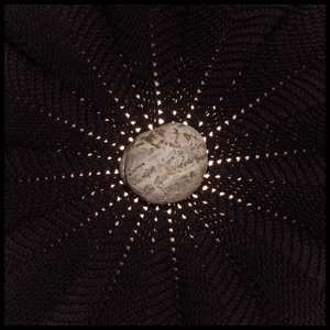 Album Nat Baldwin: In The Hollows