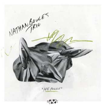 CD Nathan Bowles Trio: Are Possible