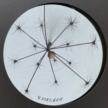 LP Nathan Dawidowicz: FLUFF