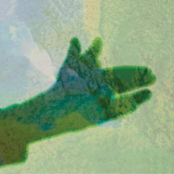 Album Native Instrument: Camo