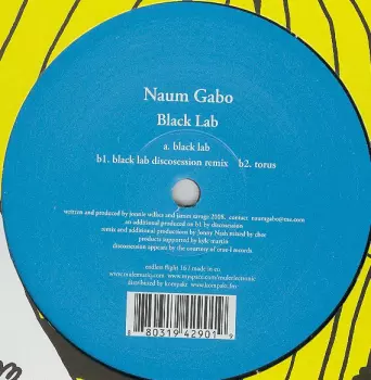Naum Gabo: Black Lab
