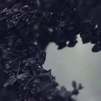 LP Nebelung: Palingenesis