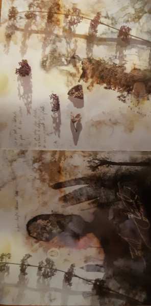 CD Negură Bunget: OM