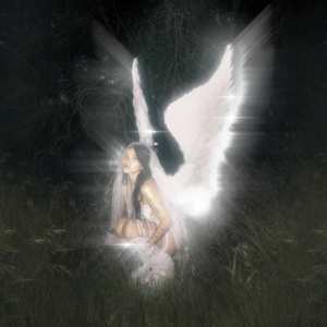 CD Nessa Barrett: Young Forever