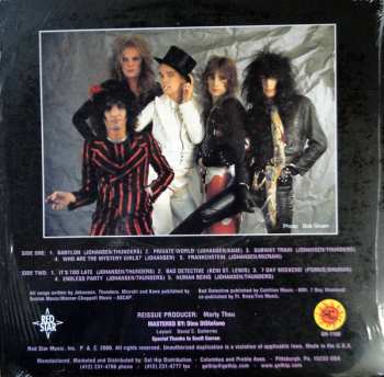 LP New York Dolls: Endless Party