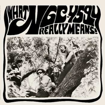 LP NGC-4594: What Ngc-4594 Really Means