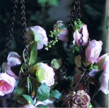 CD Nicole Peña Comas: Amoroso