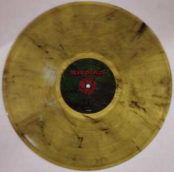 LP Night In Gales: Thunderbeast CLR | LTD