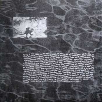 LP Nirvana: Nevermind